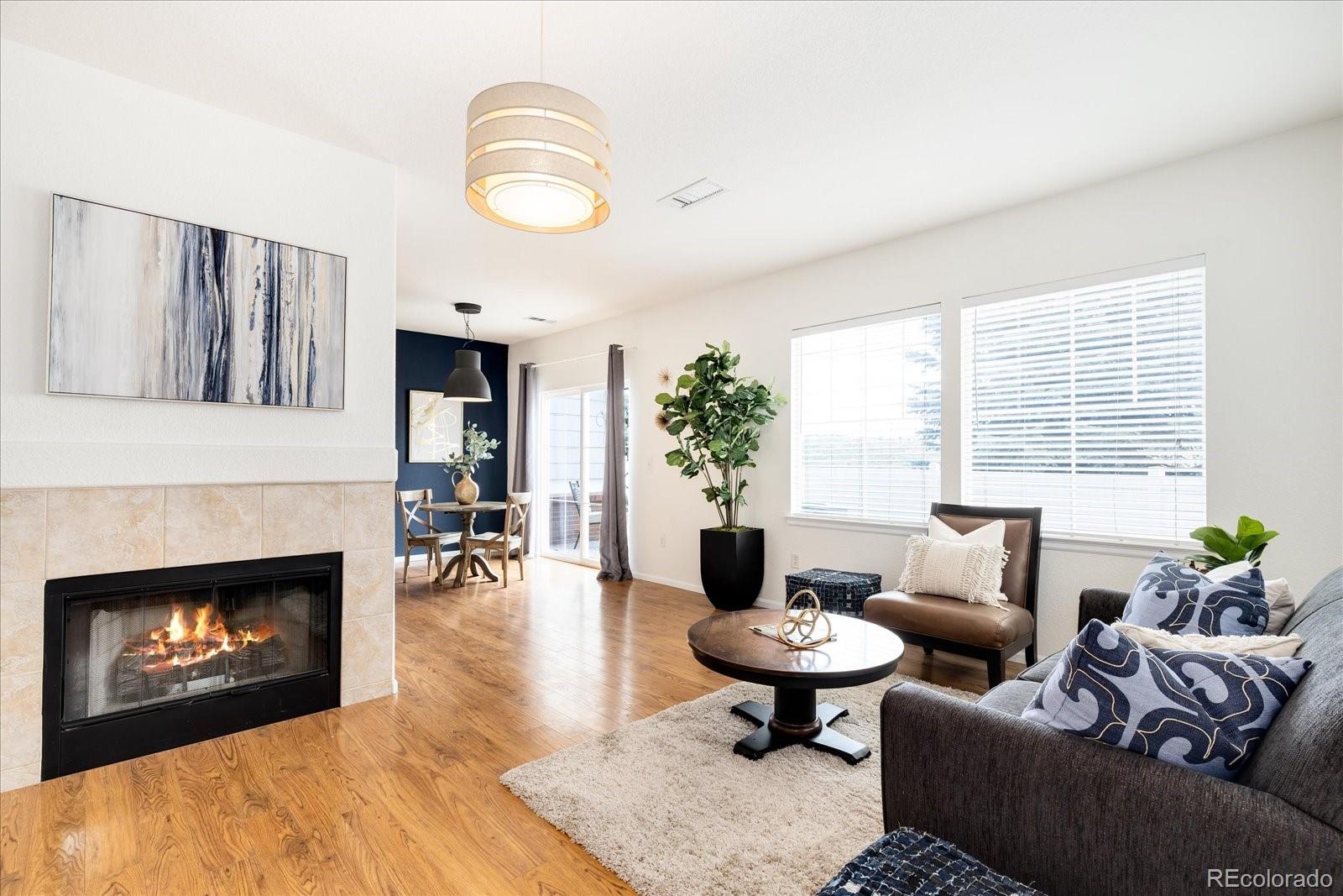 MLS Image #21 for 208  whitehaven circle,highlands ranch, Colorado