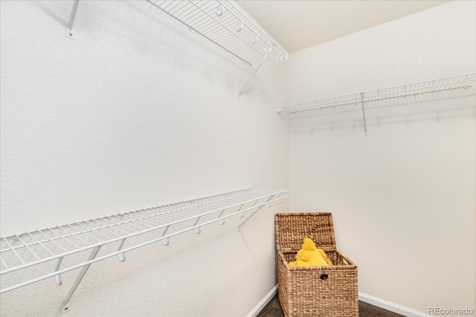MLS Image #26 for 208  whitehaven circle,highlands ranch, Colorado