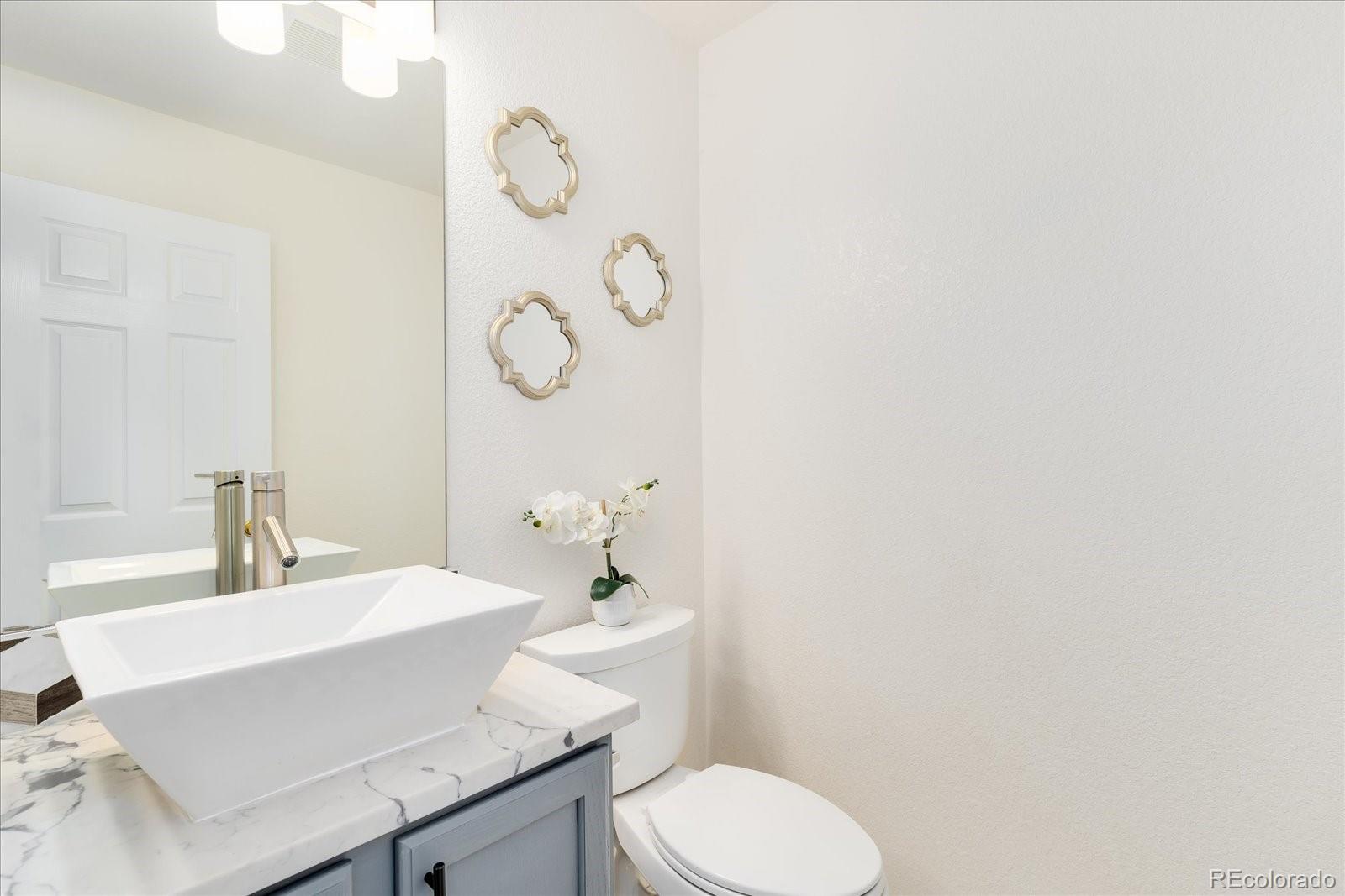 MLS Image #9 for 208  whitehaven circle,highlands ranch, Colorado
