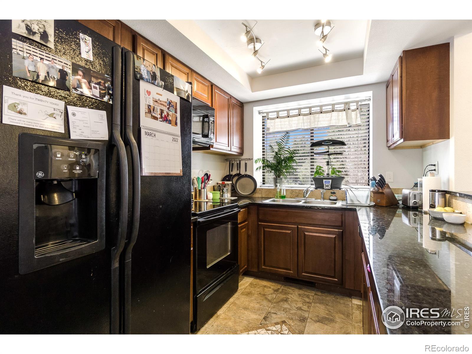 MLS Image #4 for 1331  birch street,fort collins, Colorado