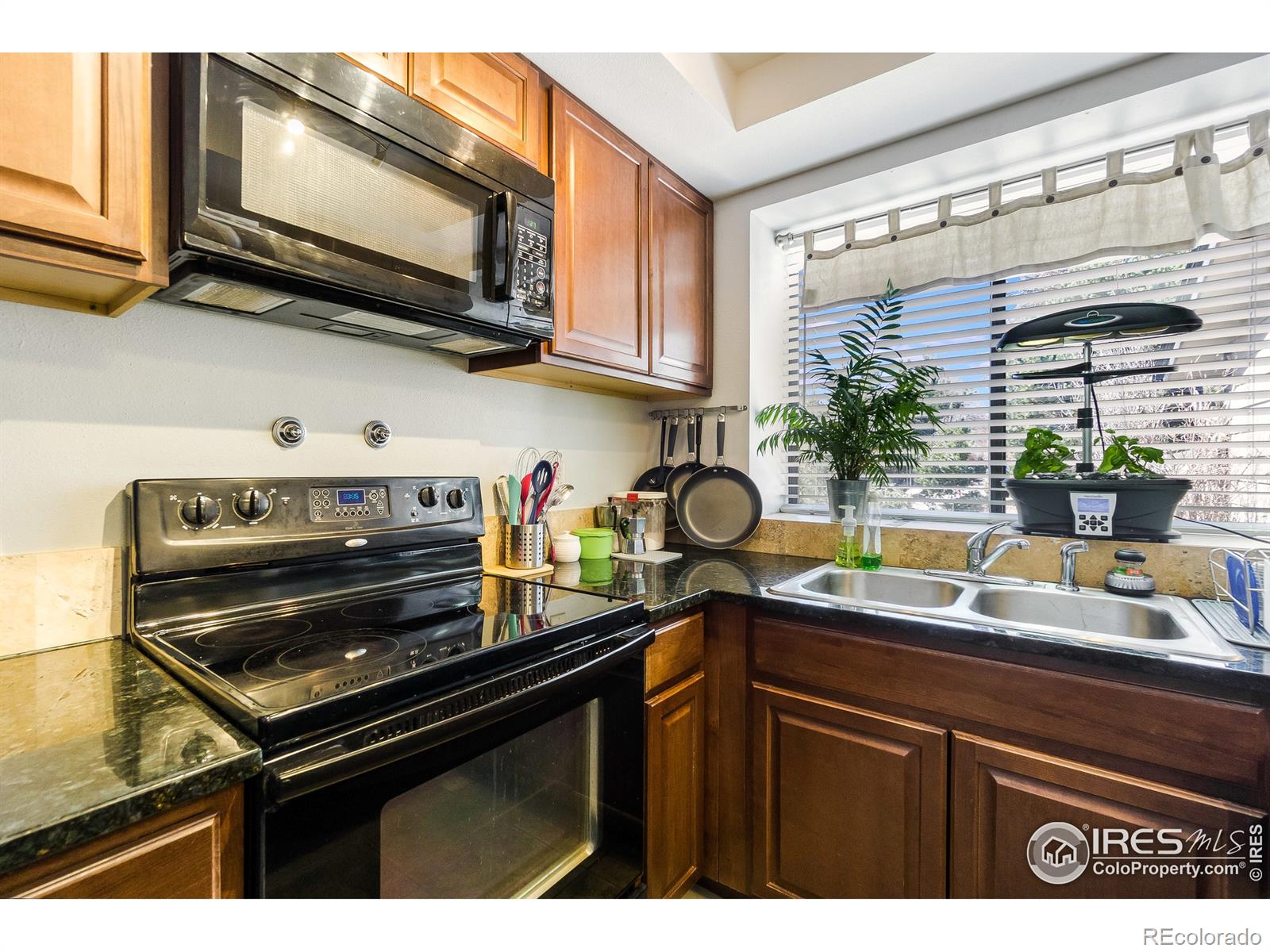 MLS Image #6 for 1331  birch street,fort collins, Colorado
