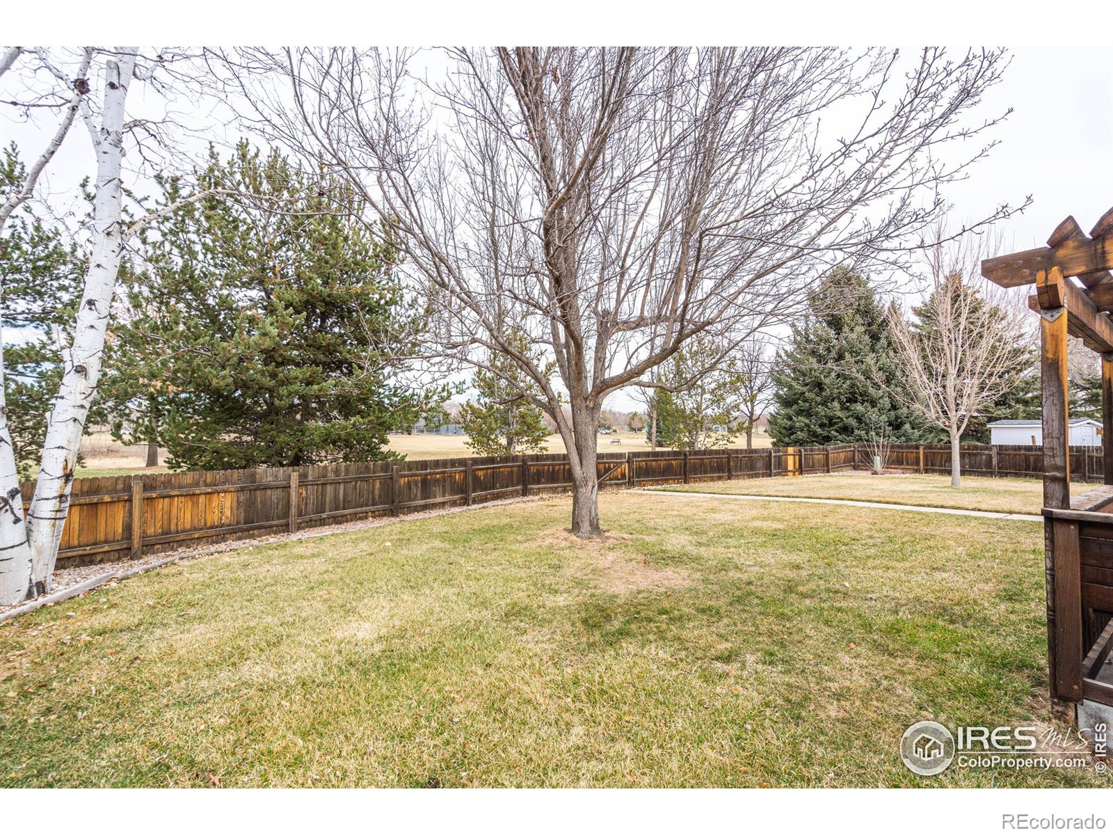 MLS Image #26 for 736  grouse circle,fort collins, Colorado