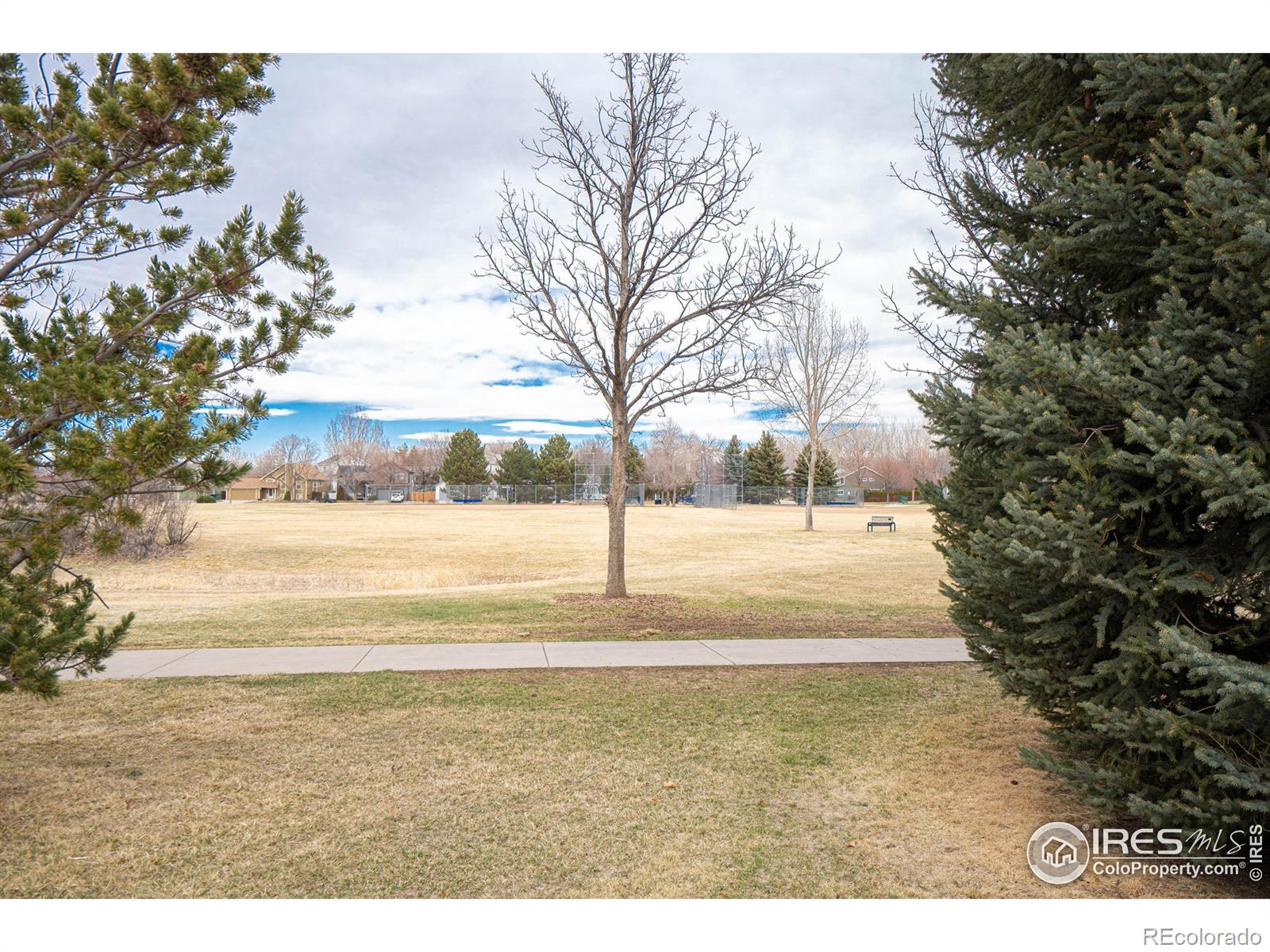 MLS Image #29 for 736  grouse circle,fort collins, Colorado