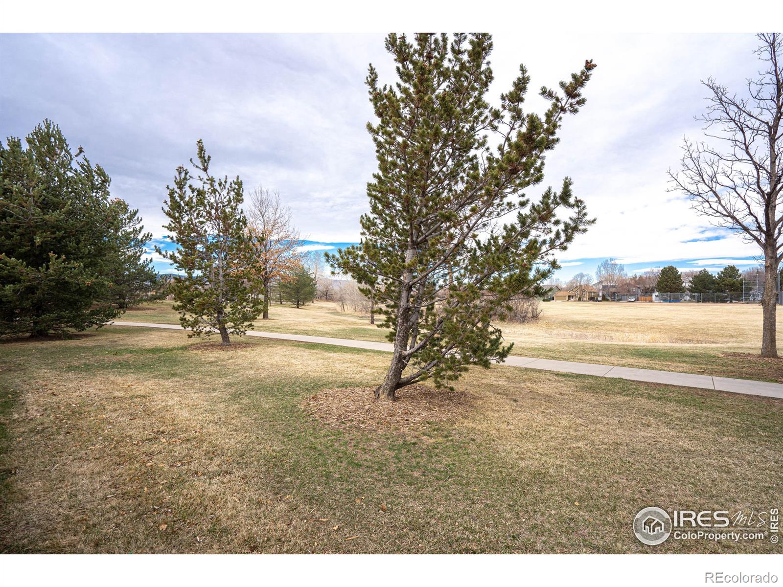 MLS Image #30 for 736  grouse circle,fort collins, Colorado