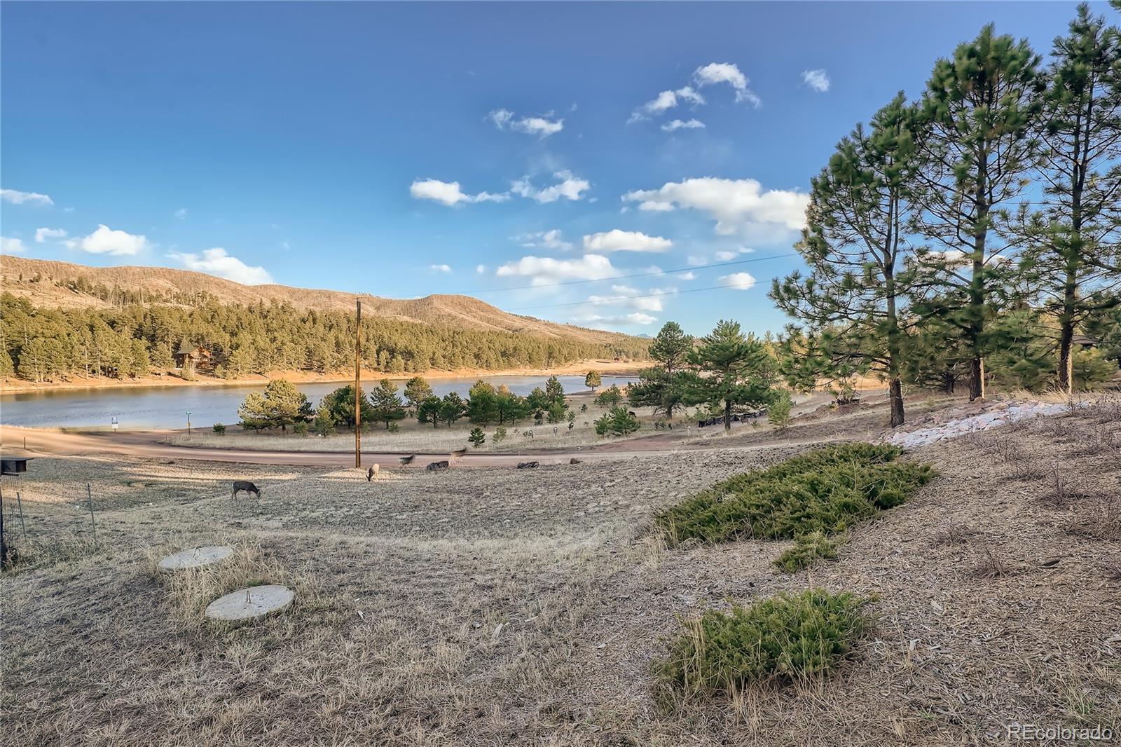 MLS Image #11 for 14949  crooked lane,woodland park, Colorado