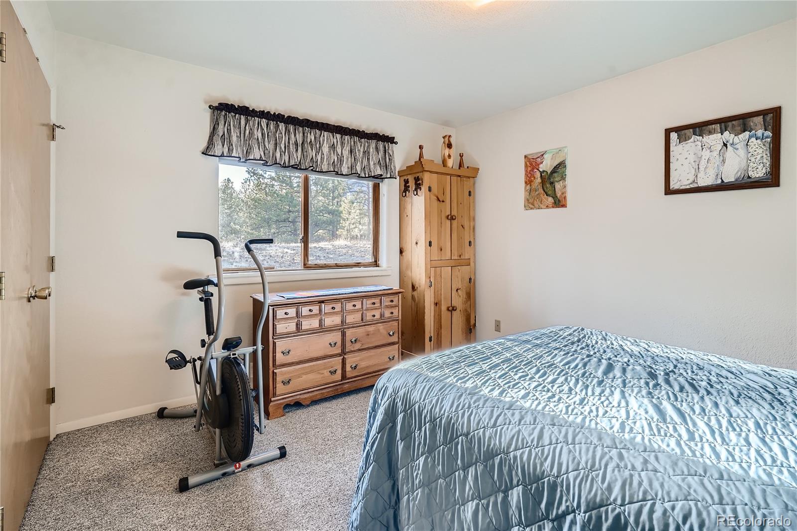 MLS Image #6 for 14949  crooked lane,woodland park, Colorado