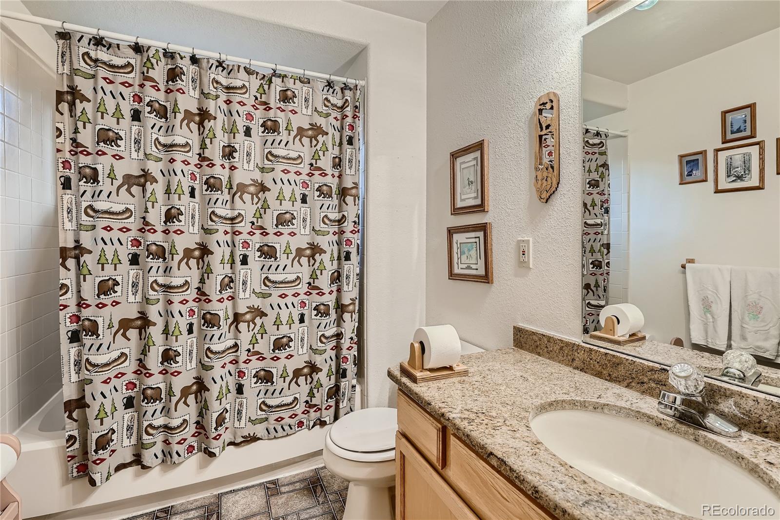 MLS Image #7 for 14949  crooked lane,woodland park, Colorado