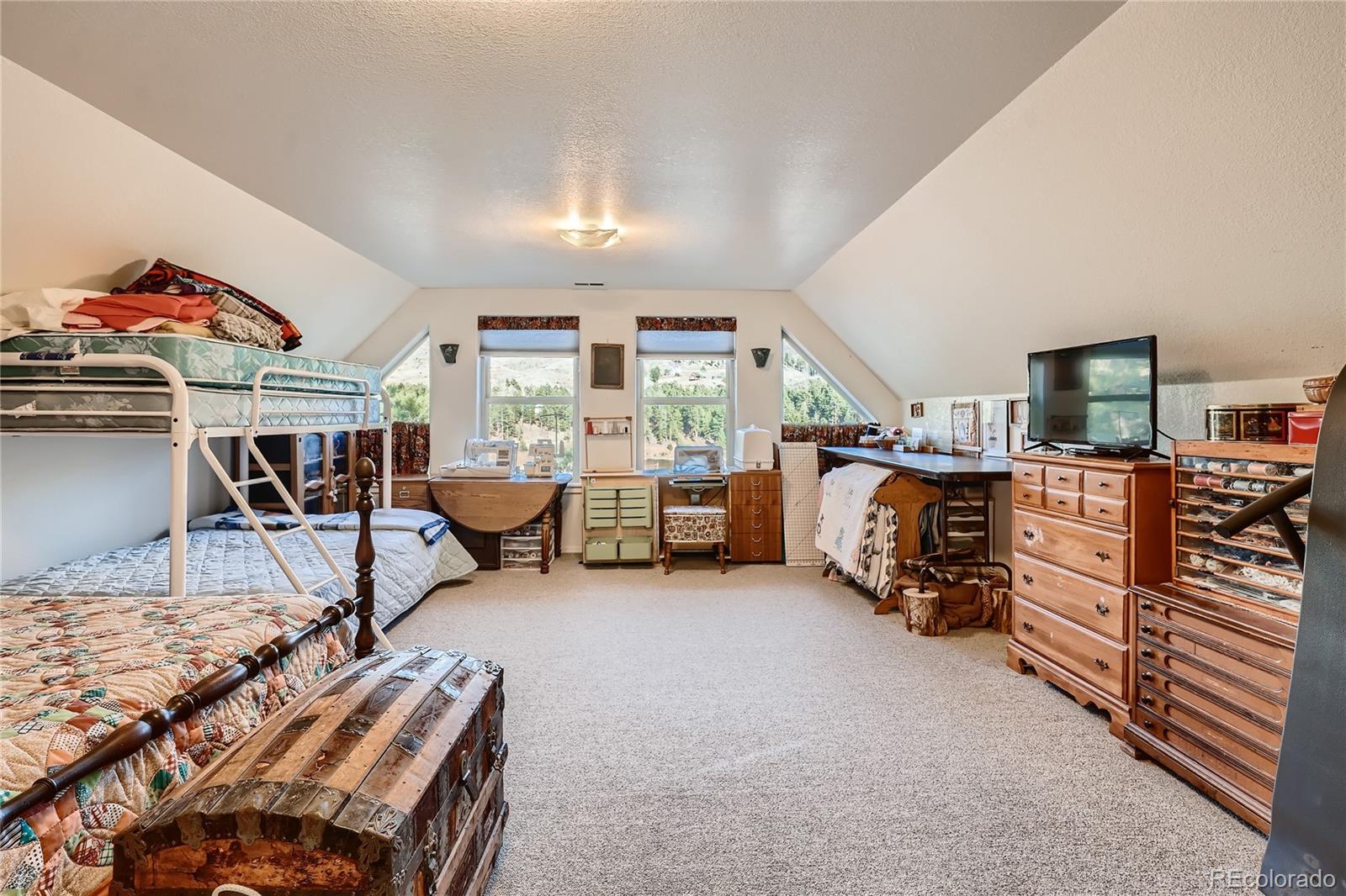 MLS Image #8 for 14949  crooked lane,woodland park, Colorado