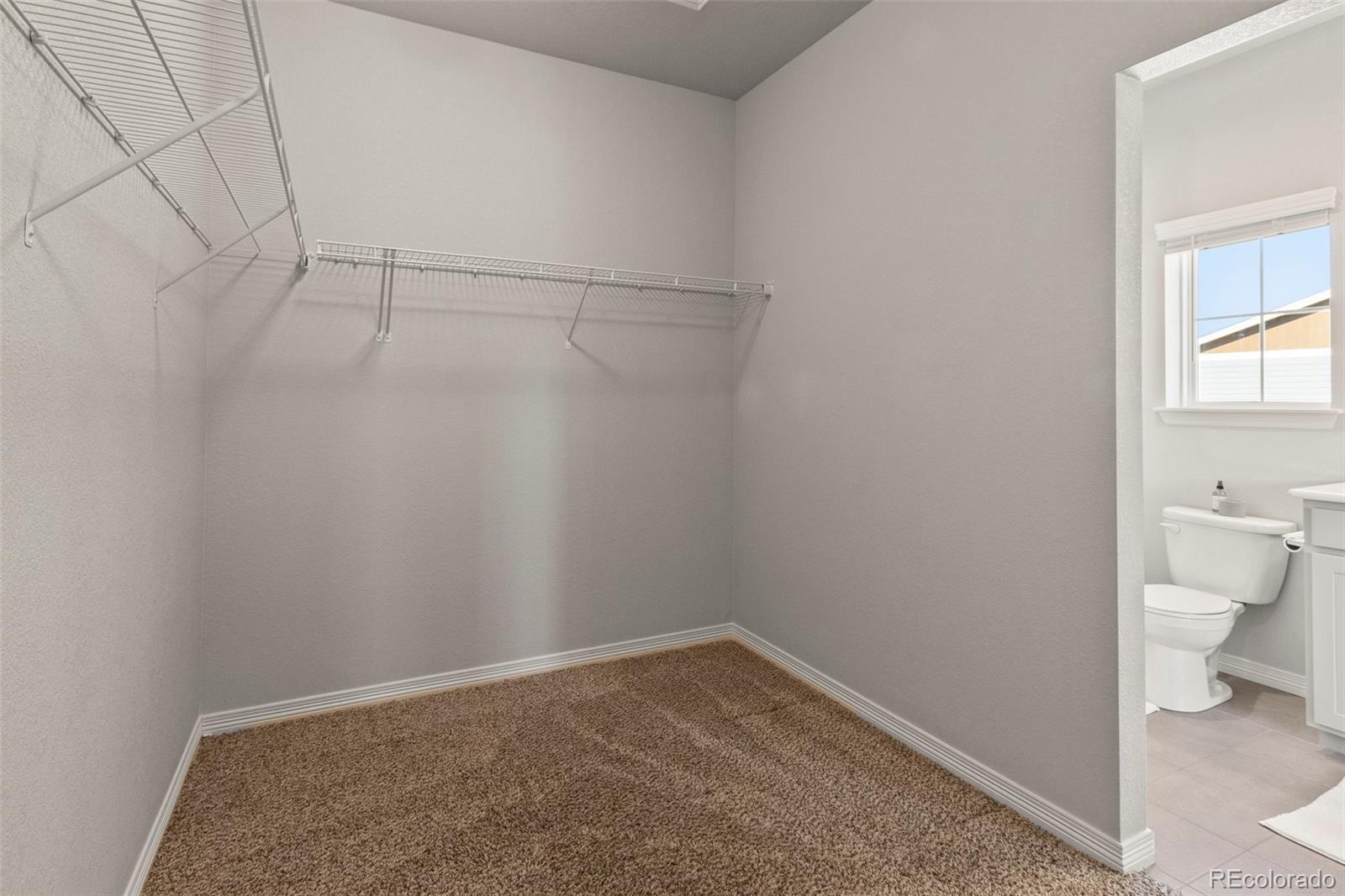 MLS Image #26 for 1688  grand avenue,windsor, Colorado