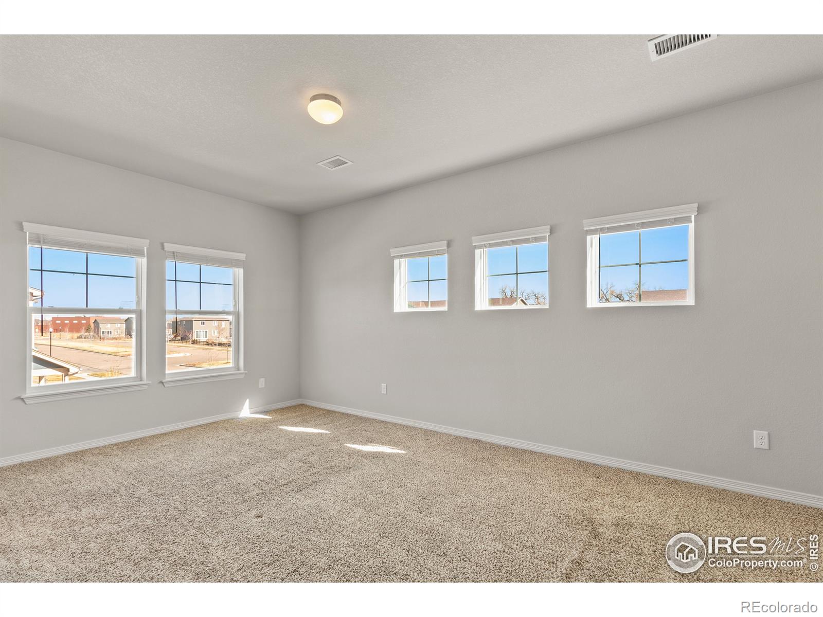 MLS Image #22 for 1688  grand avenue,windsor, Colorado