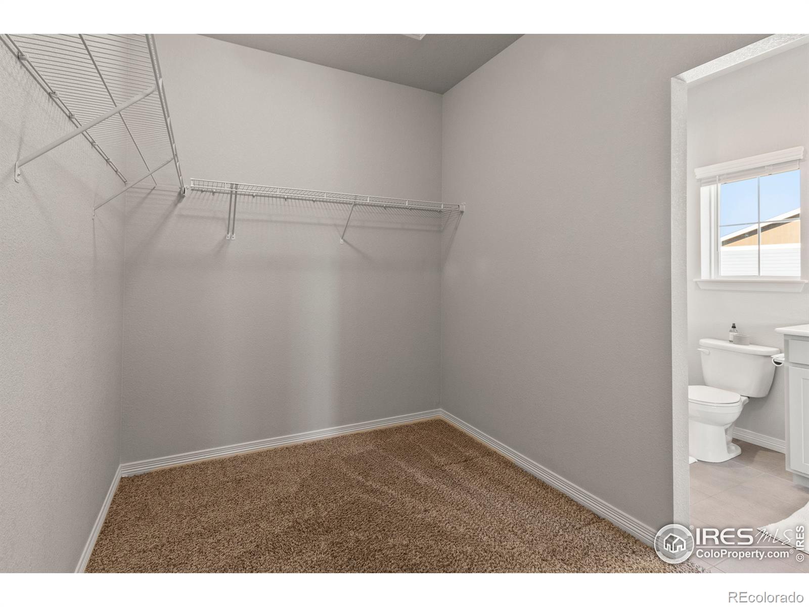 MLS Image #24 for 1688  grand avenue,windsor, Colorado