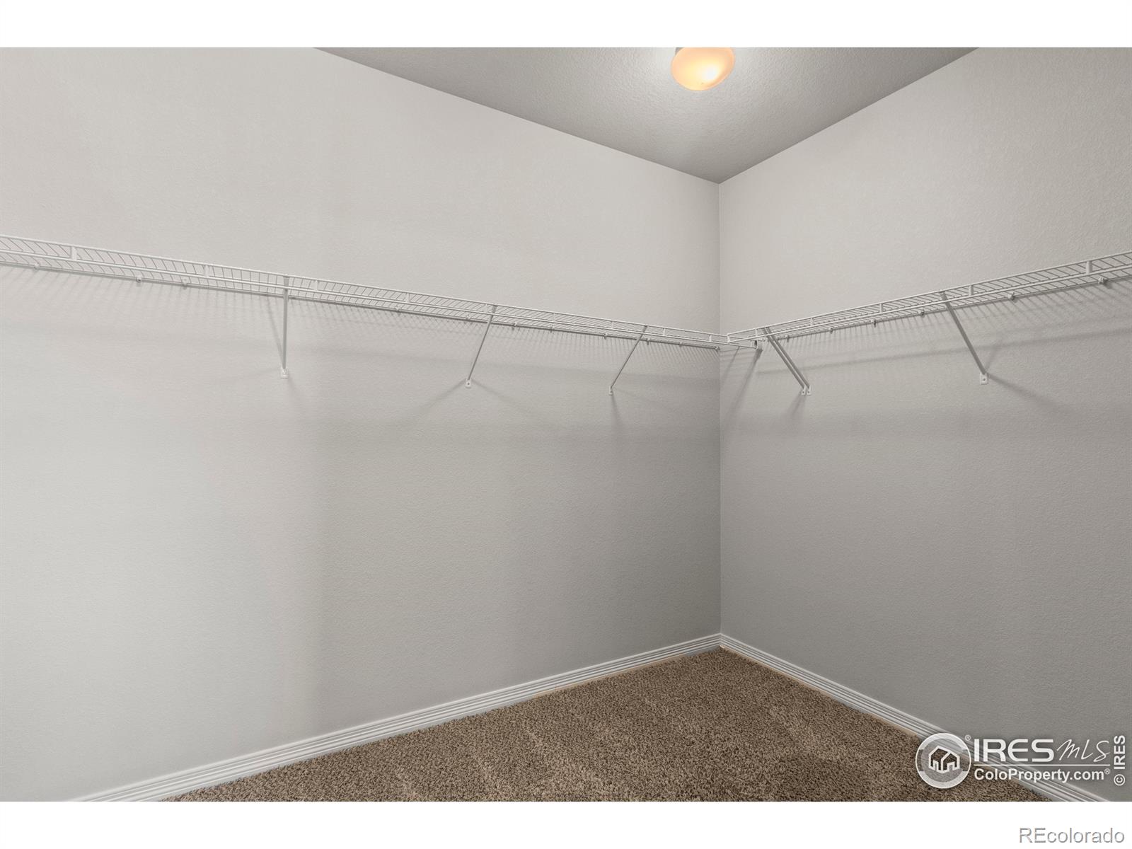 MLS Image #26 for 1688  grand avenue,windsor, Colorado