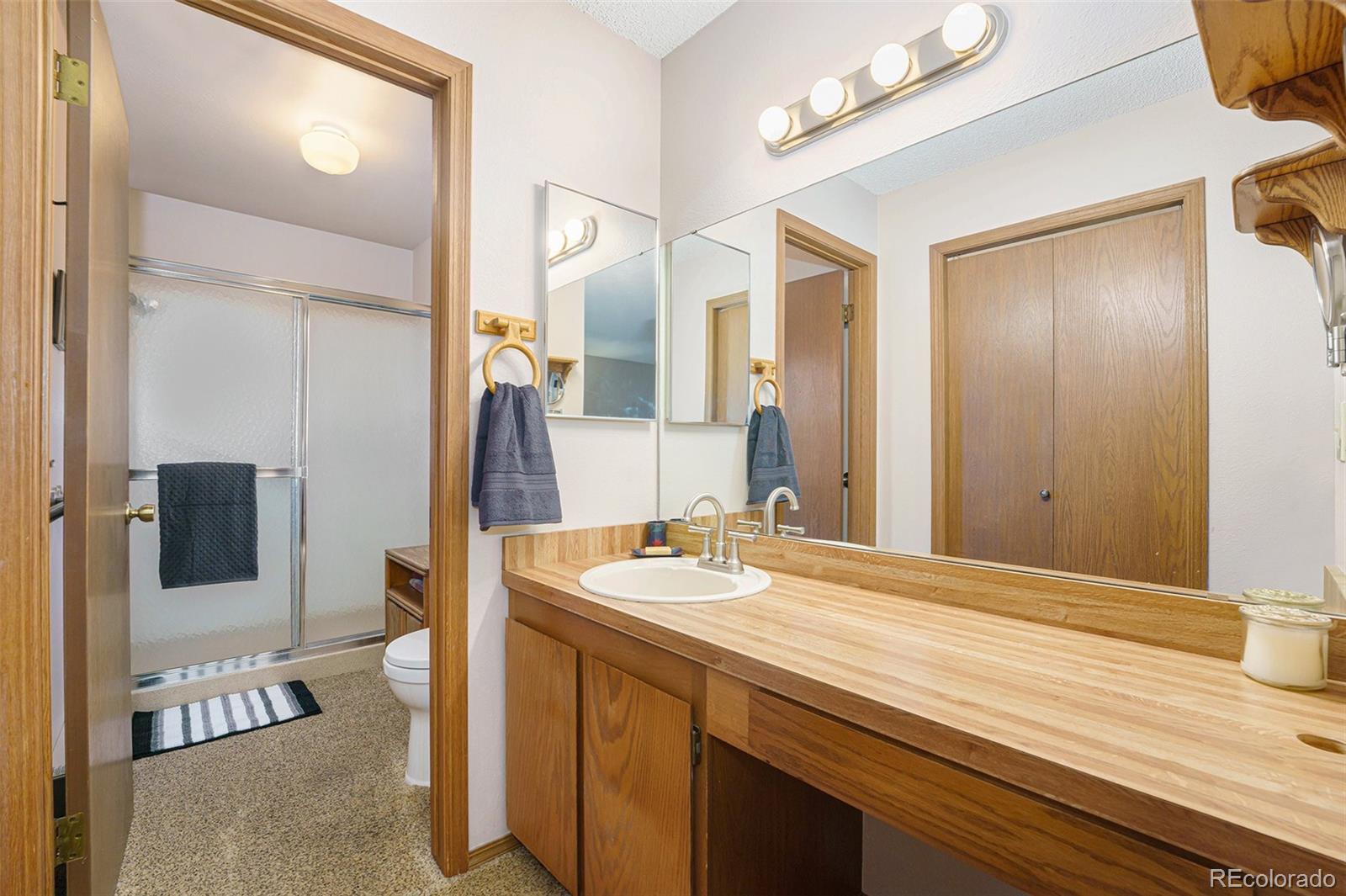 MLS Image #21 for 824  hayden court,longmont, Colorado