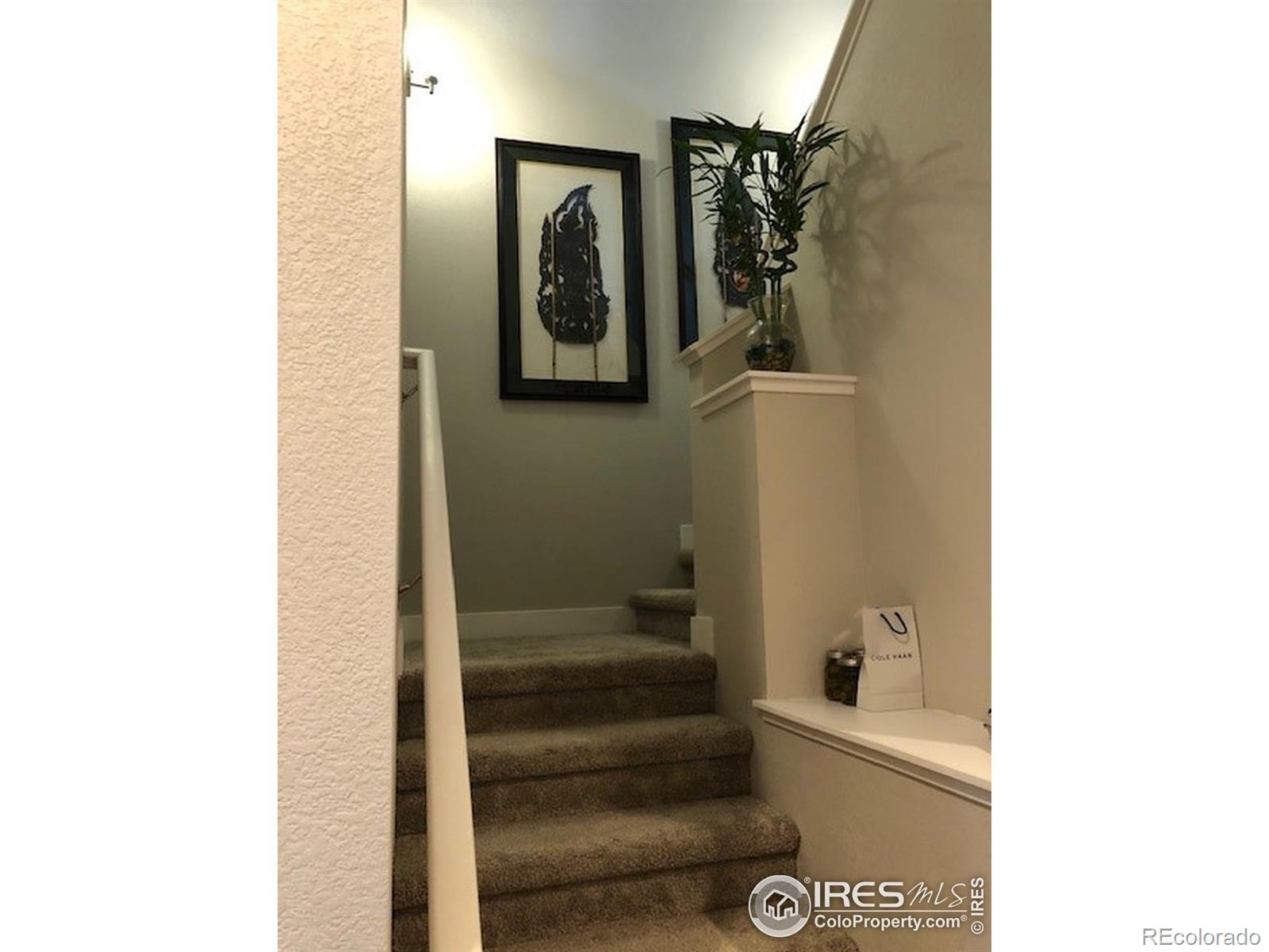 MLS Image #9 for 2440  trio falls drive,loveland, Colorado