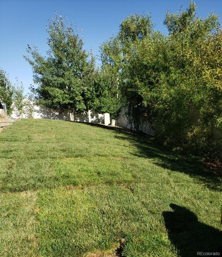 MLS Image #25 for 20194  robins drive,denver, Colorado
