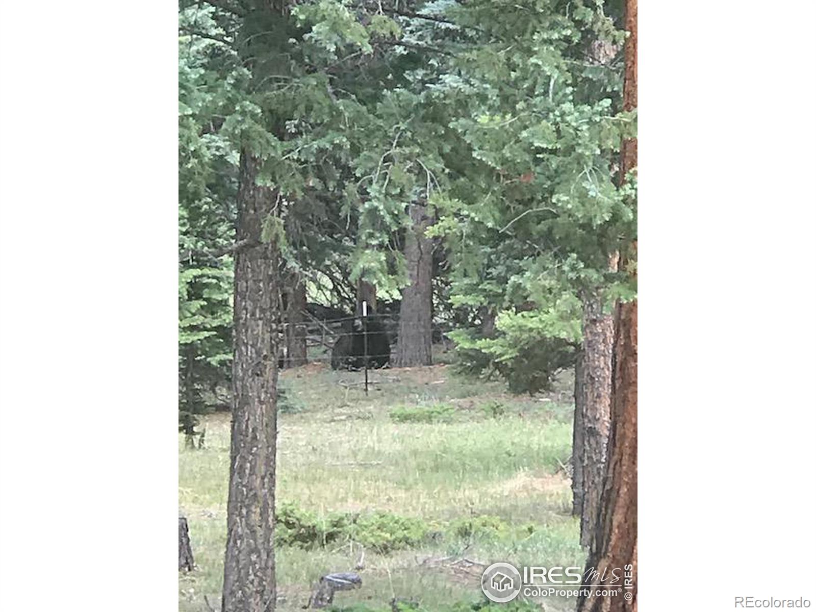 MLS Image #12 for 30198  okee trail,pine, Colorado