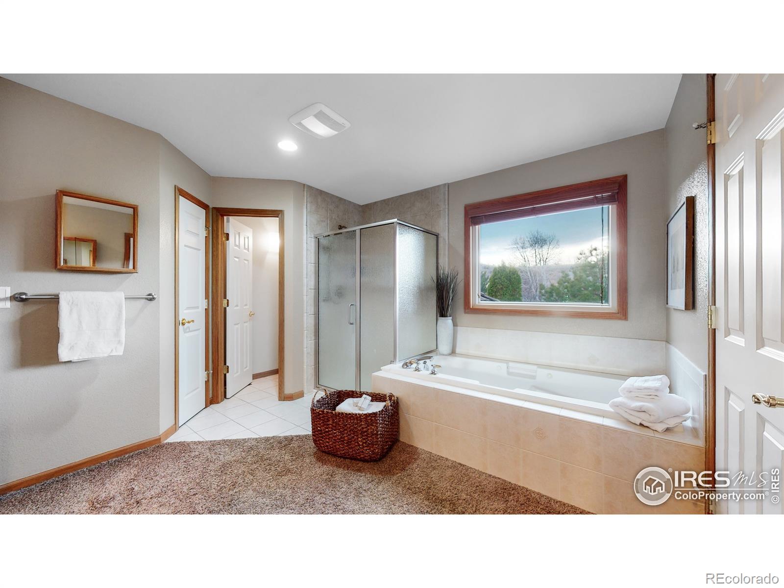 MLS Image #15 for 6469  wild plum drive,loveland, Colorado