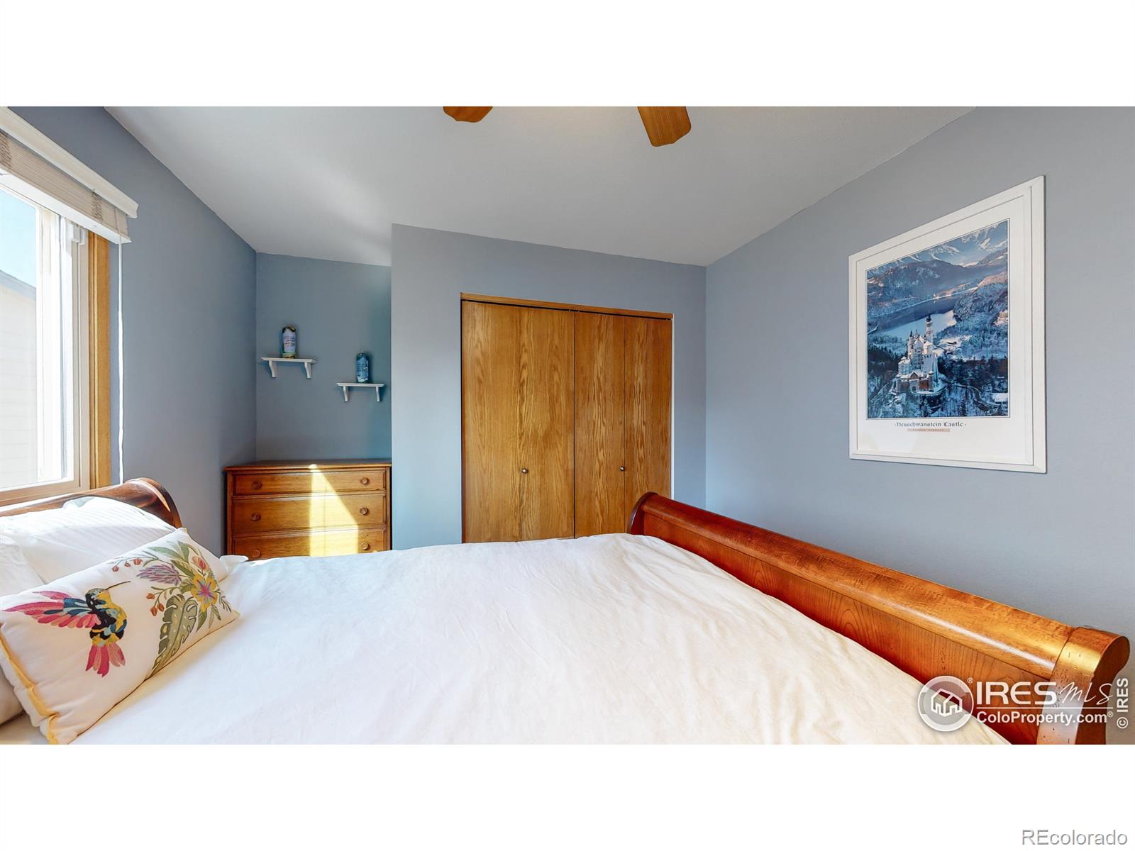 MLS Image #19 for 3506  patterson court,fort collins, Colorado