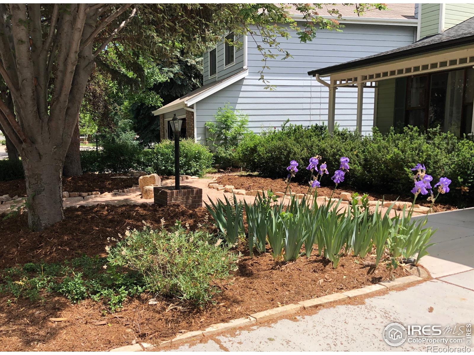 MLS Image #3 for 2228  clear creek drive,loveland, Colorado