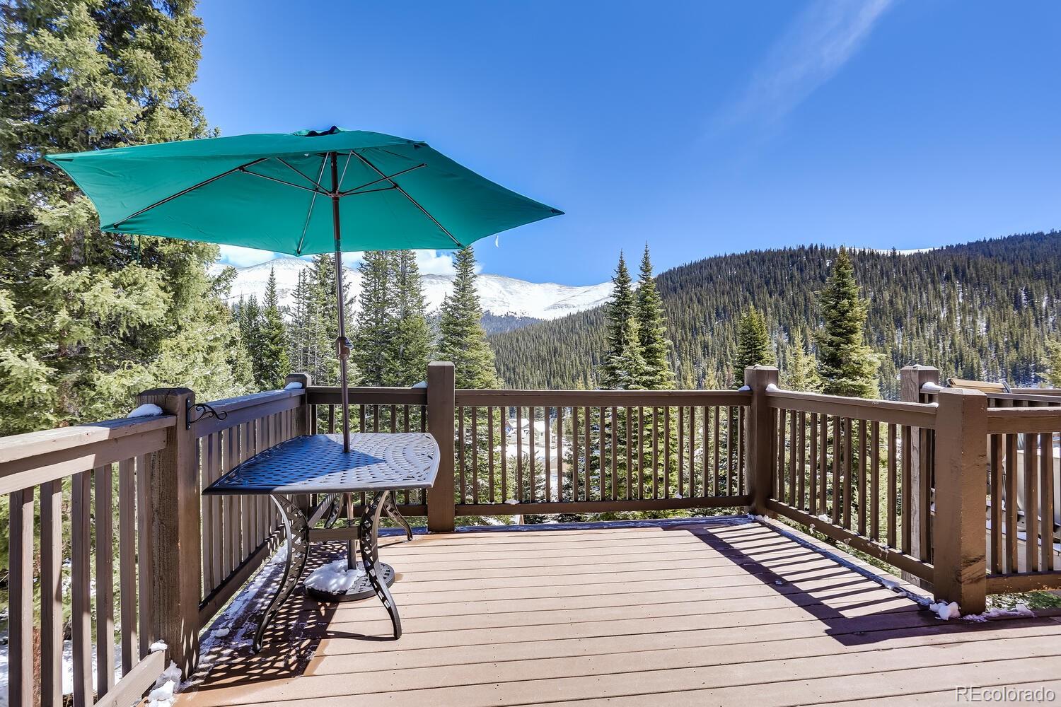 MLS Image #2 for 240  carroll lane,breckenridge, Colorado