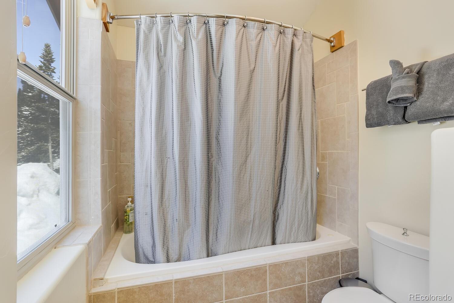 MLS Image #23 for 240  carroll lane,breckenridge, Colorado