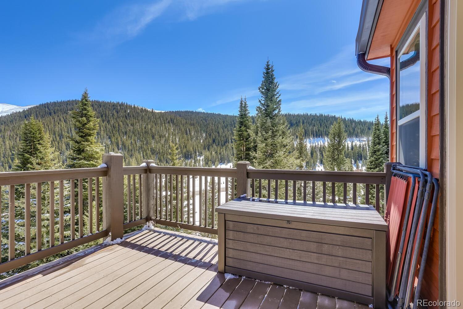 MLS Image #3 for 240  carroll lane,breckenridge, Colorado