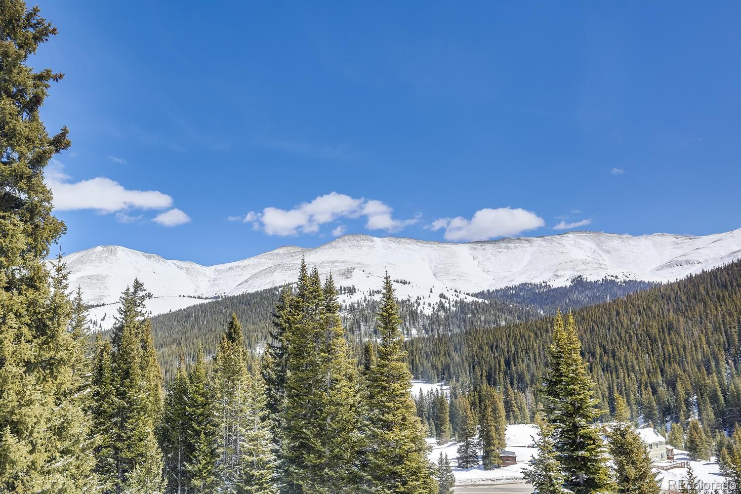 MLS Image #4 for 240  carroll lane,breckenridge, Colorado