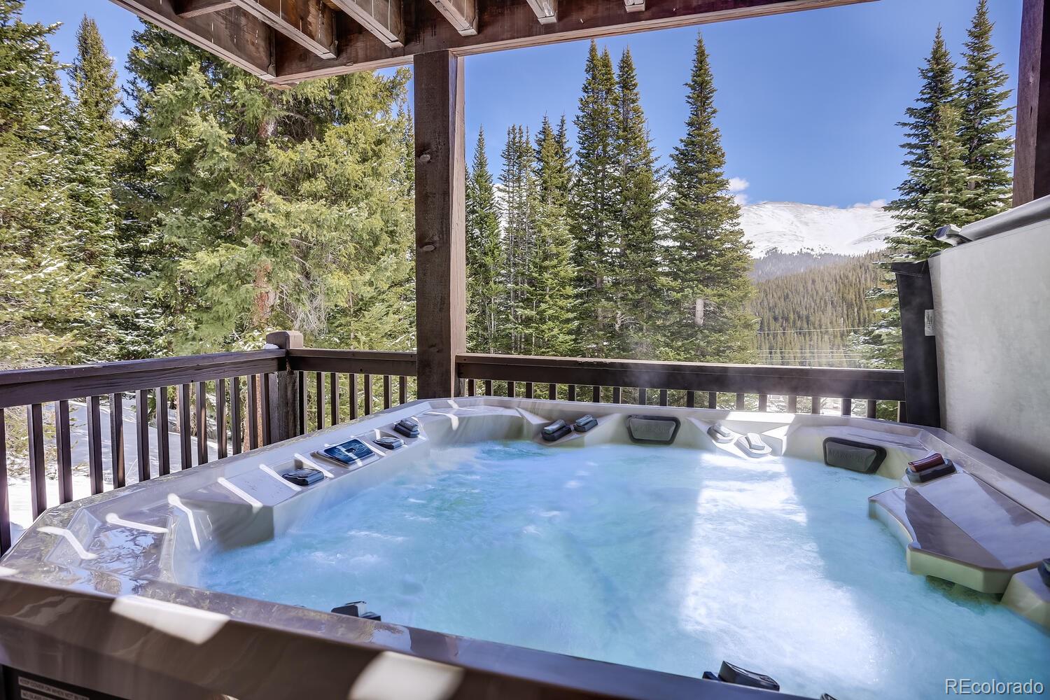 MLS Image #5 for 240  carroll lane,breckenridge, Colorado