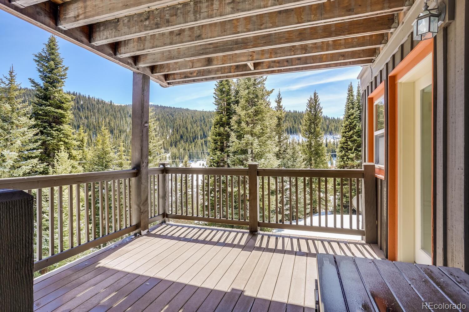 MLS Image #6 for 240  carroll lane,breckenridge, Colorado