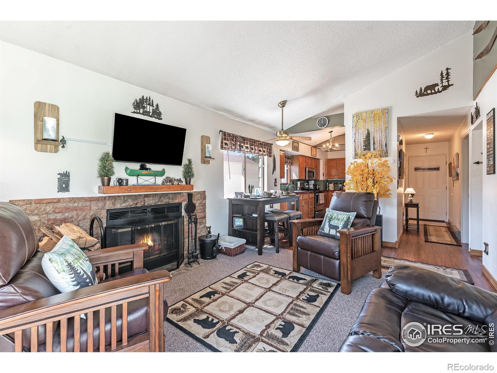 Report Image for 1010 S Saint Vrain Avenue,Estes Park, Colorado