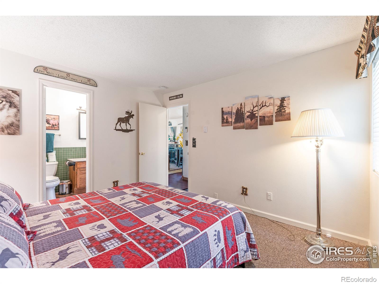 MLS Image #12 for 1010 s saint vrain avenue,estes park, Colorado