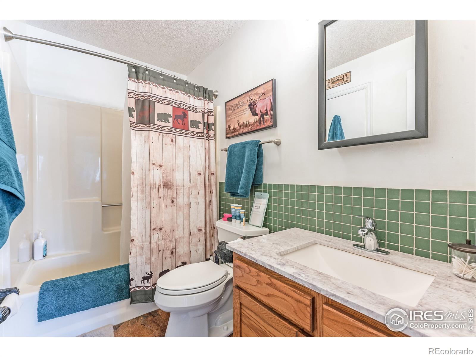 MLS Image #13 for 1010 s saint vrain avenue,estes park, Colorado