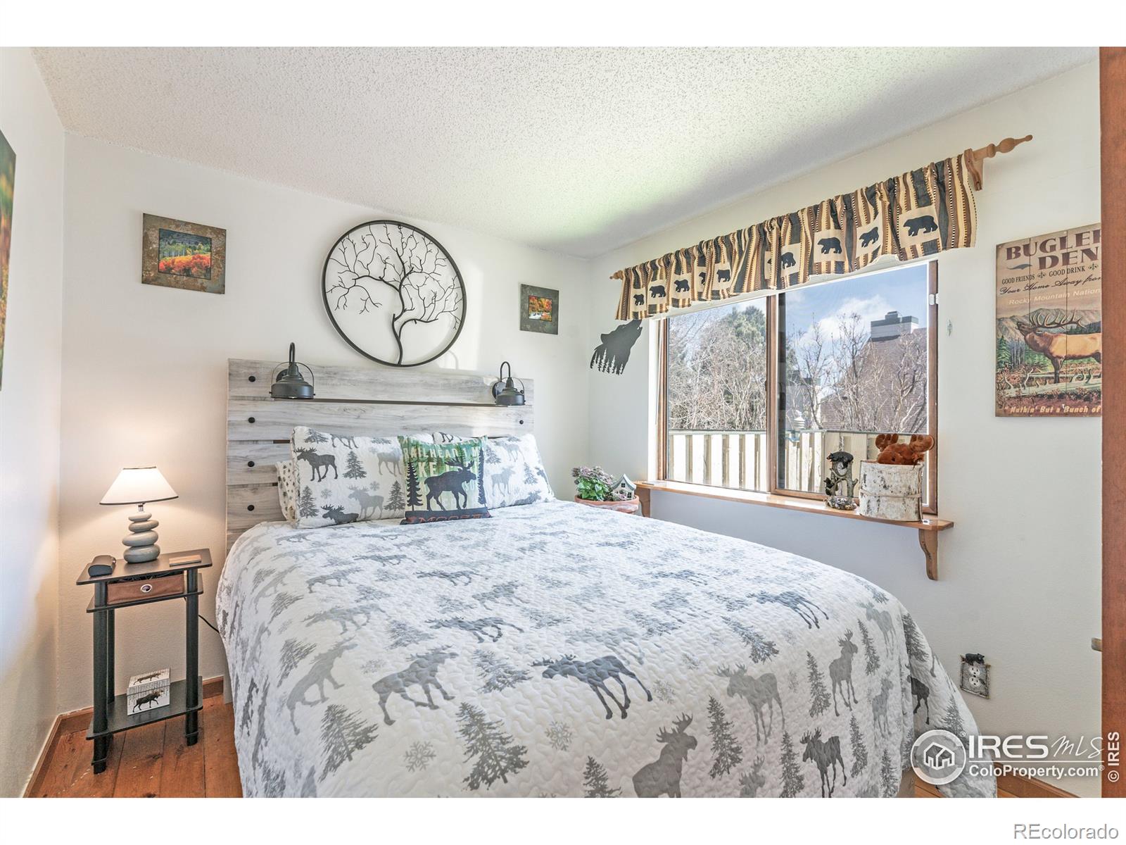MLS Image #15 for 1010 s saint vrain avenue,estes park, Colorado
