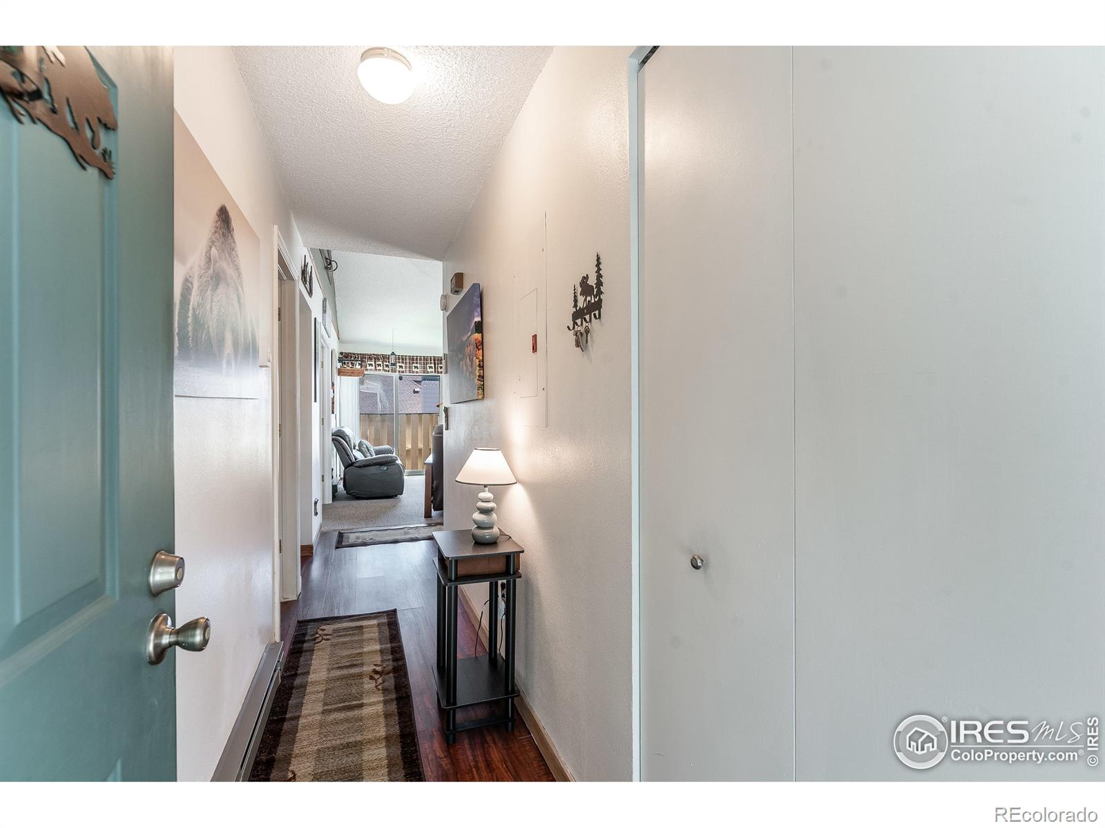 MLS Image #16 for 1010 s saint vrain avenue,estes park, Colorado