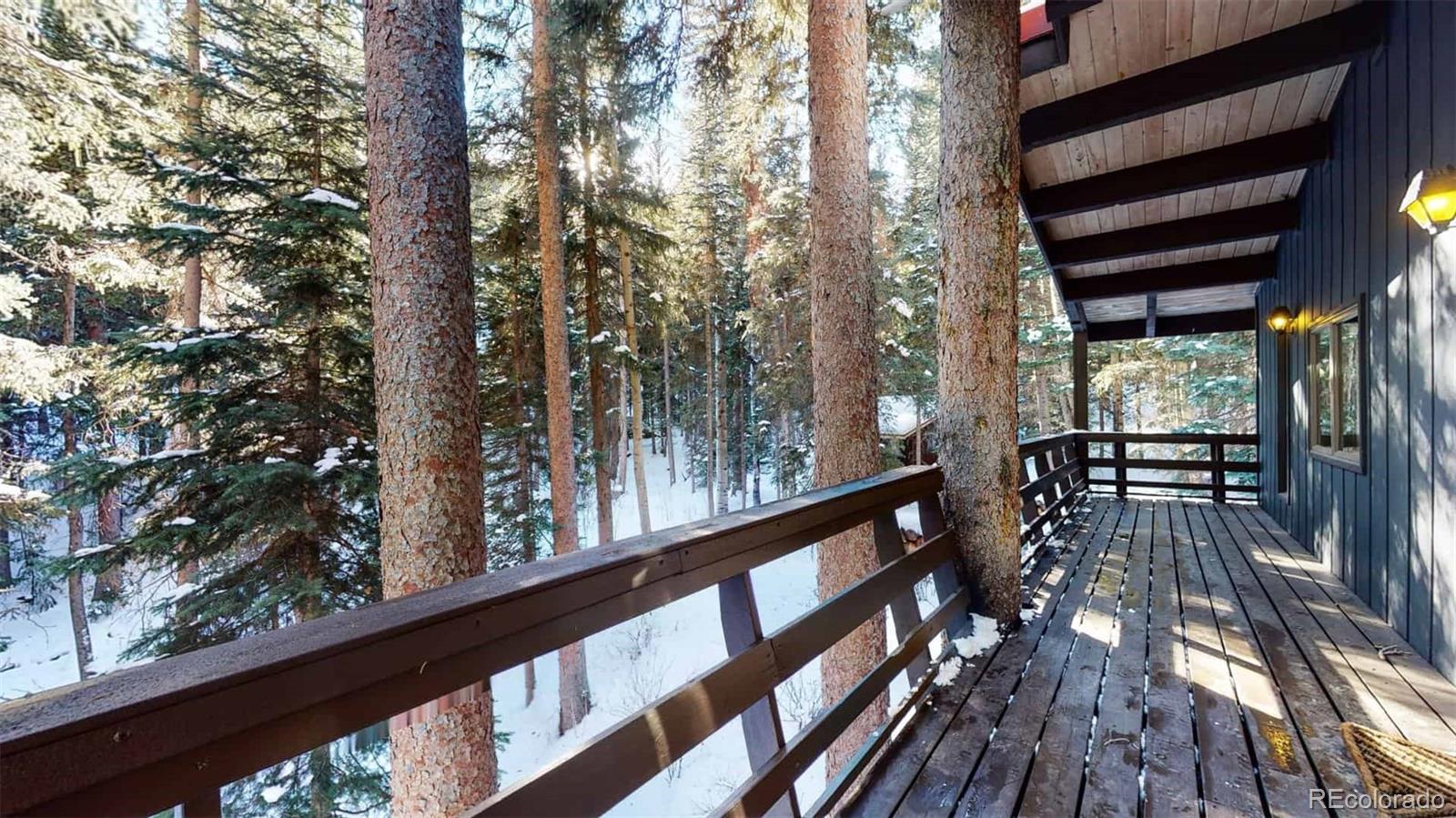 MLS Image #32 for 3187  mill creek road,dumont, Colorado