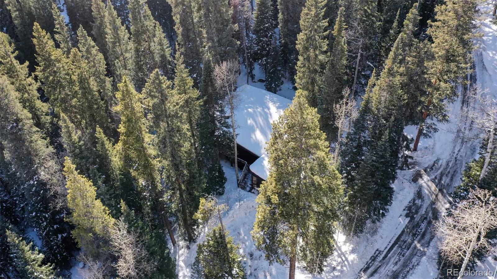 MLS Image #36 for 3187  mill creek road,dumont, Colorado