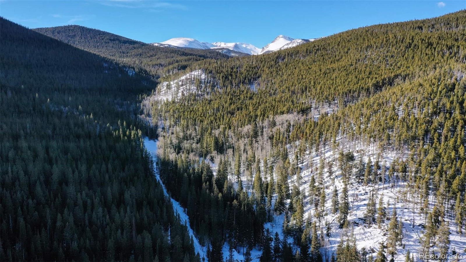 MLS Image #37 for 3187  mill creek road,dumont, Colorado