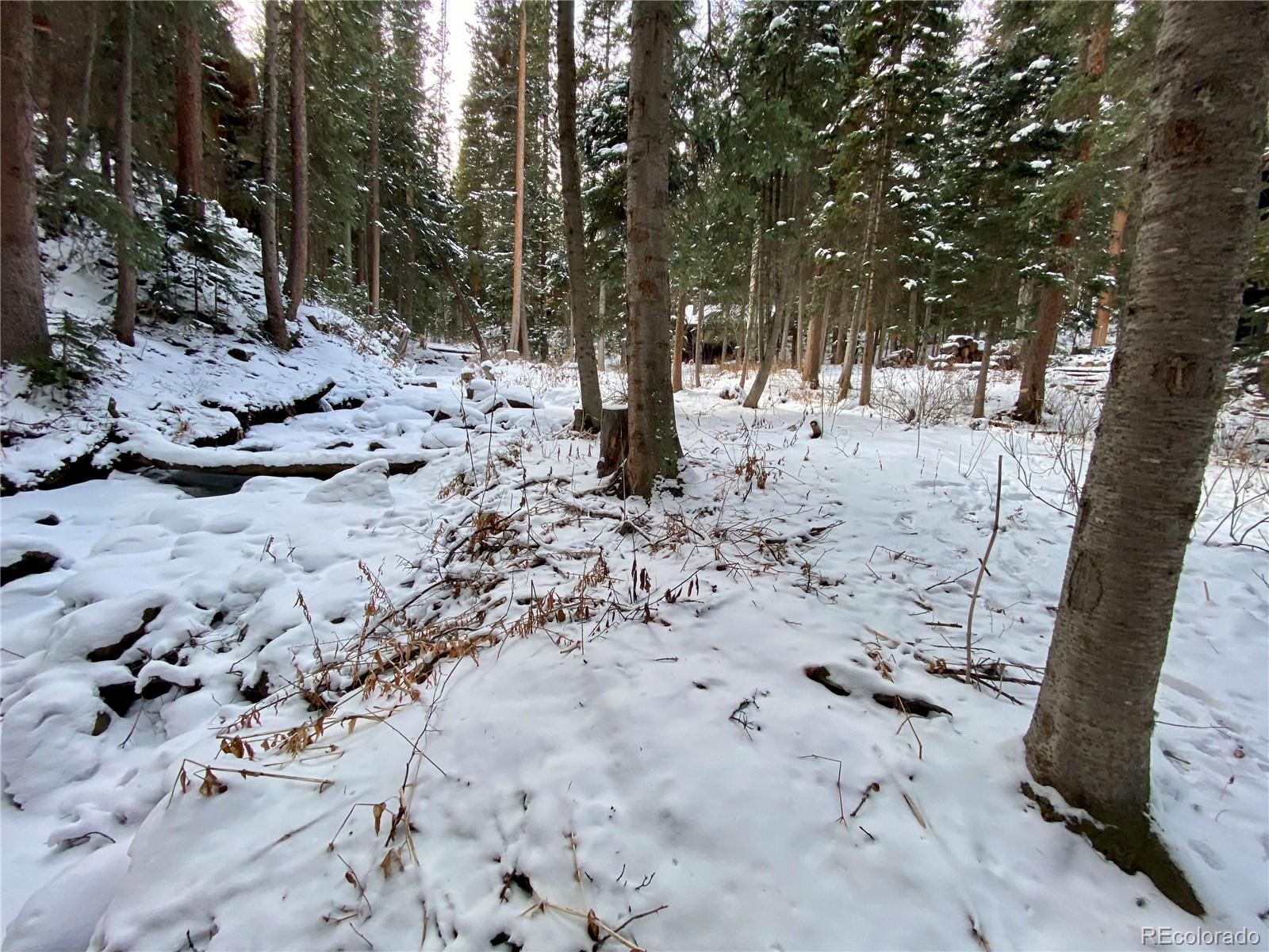 MLS Image #38 for 3187  mill creek road,dumont, Colorado