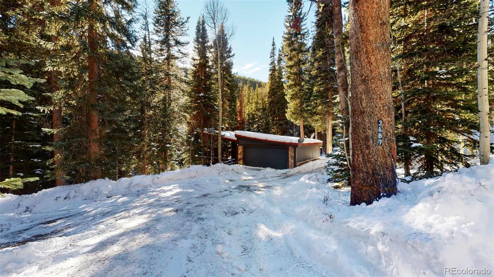 MLS Image #39 for 3187  mill creek road,dumont, Colorado