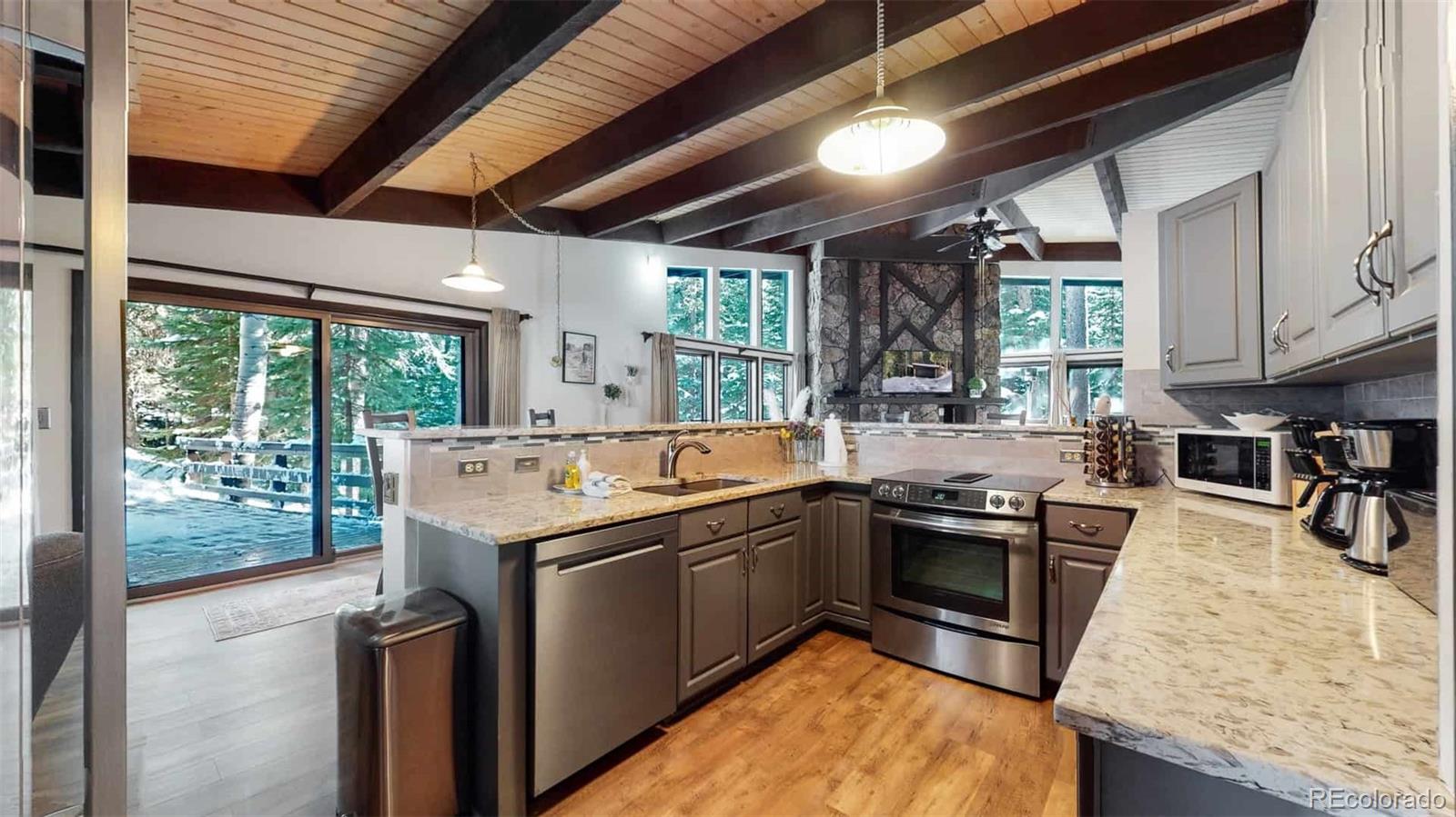 MLS Image #9 for 3187  mill creek road,dumont, Colorado