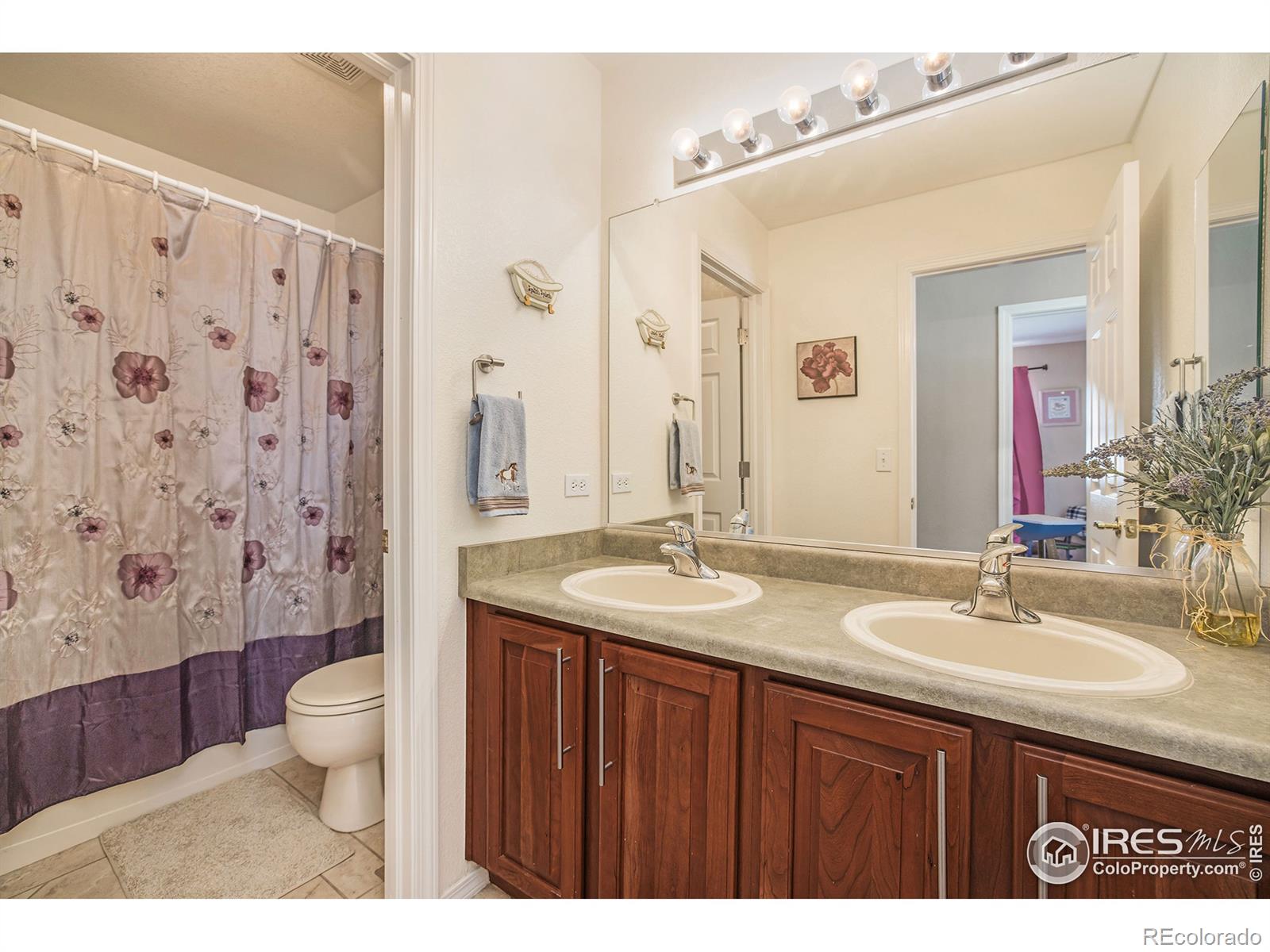 MLS Image #26 for 10062  belmont street,firestone, Colorado
