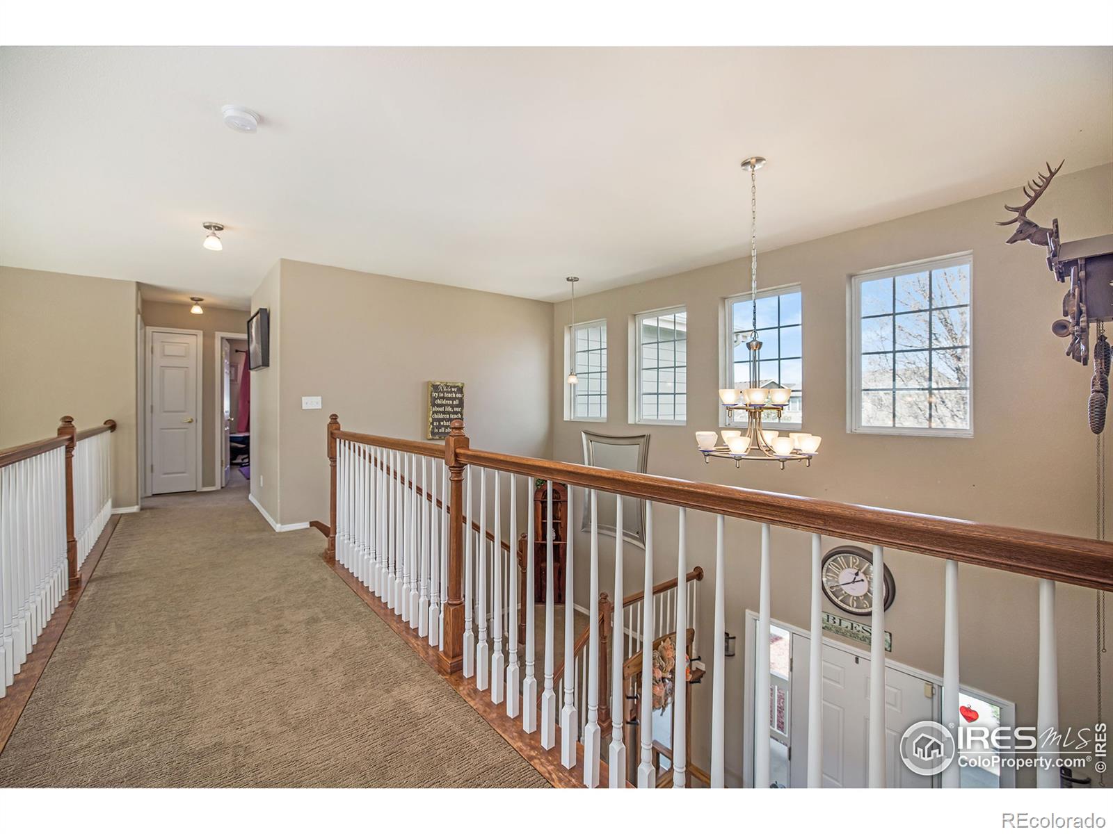 MLS Image #27 for 10062  belmont street,firestone, Colorado