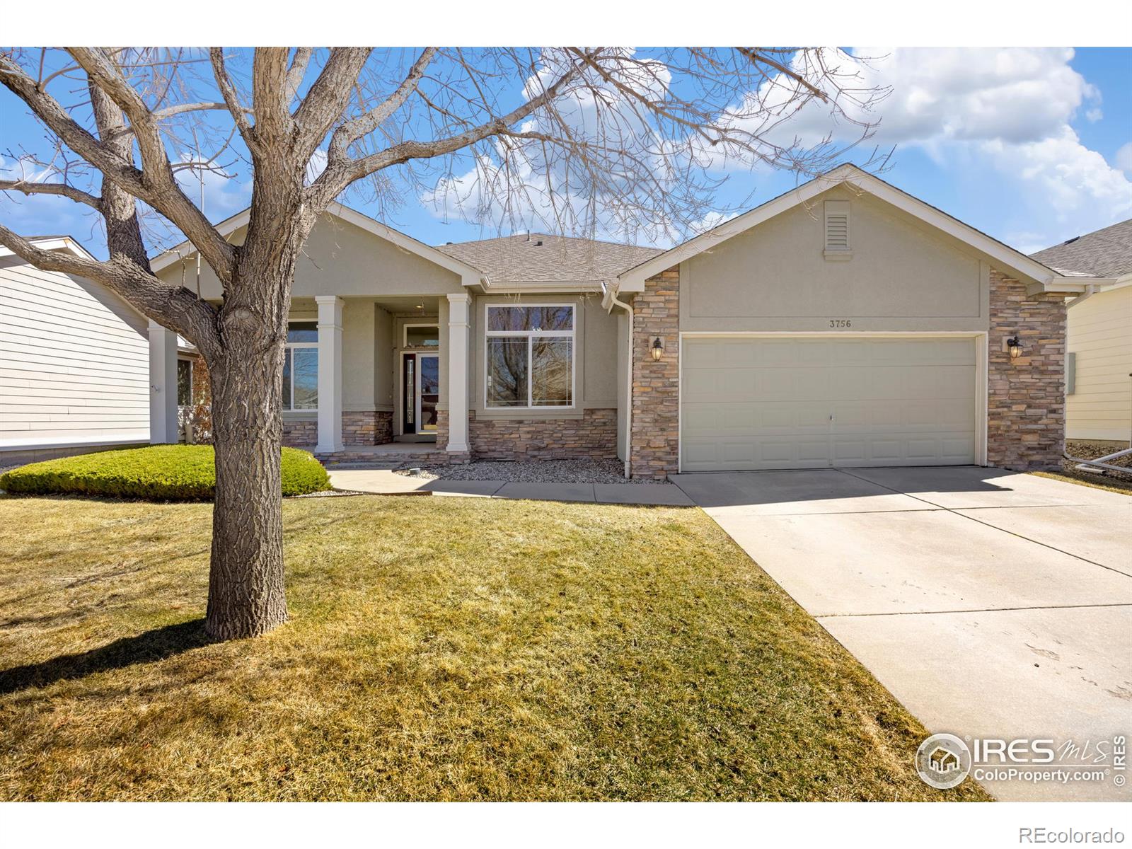 MLS Image #29 for 3756  flagler avenue,loveland, Colorado