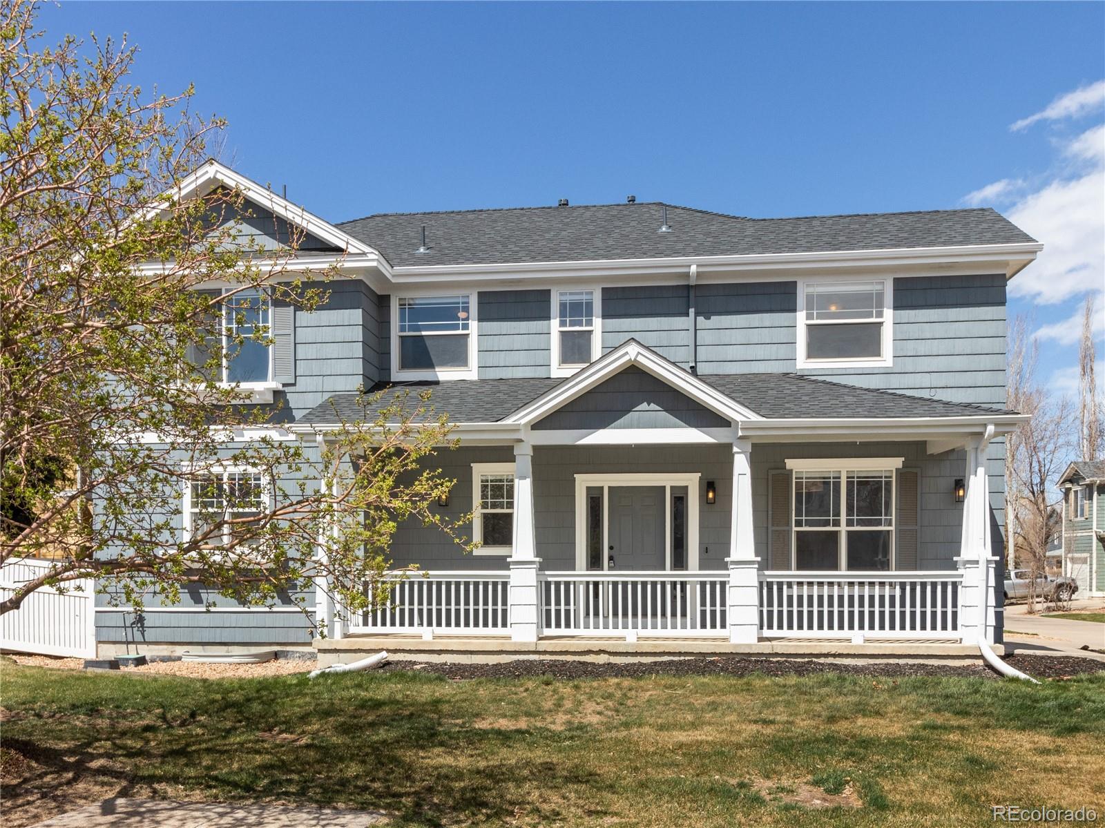 MLS Image #3 for 3735  florentine drive,longmont, Colorado