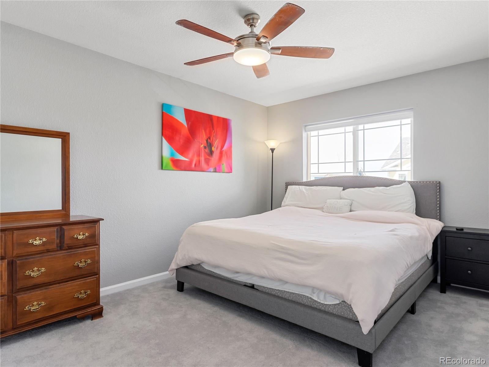 MLS Image #31 for 3735  florentine drive,longmont, Colorado