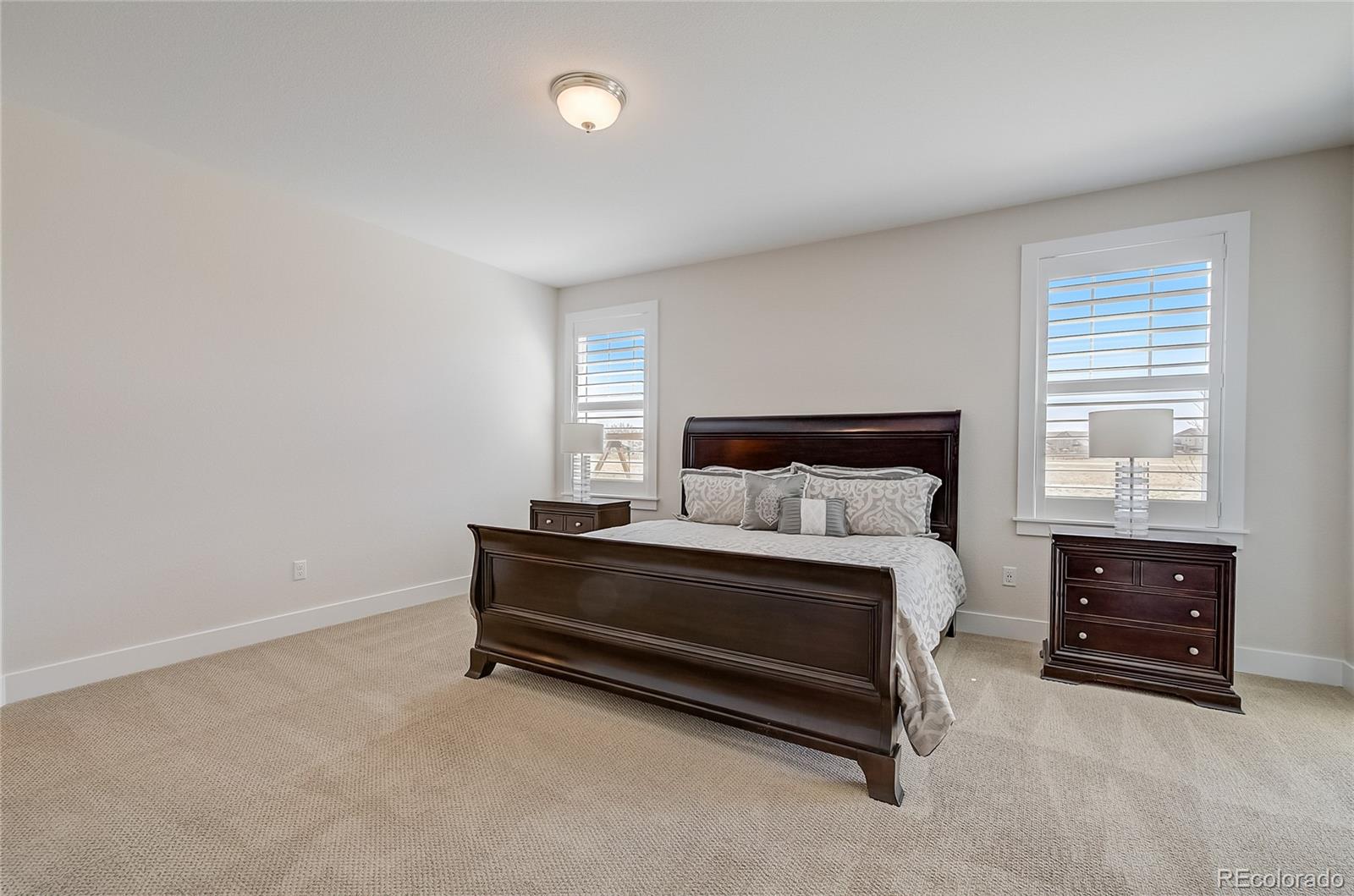 MLS Image #6 for 696  delechant court,erie, Colorado