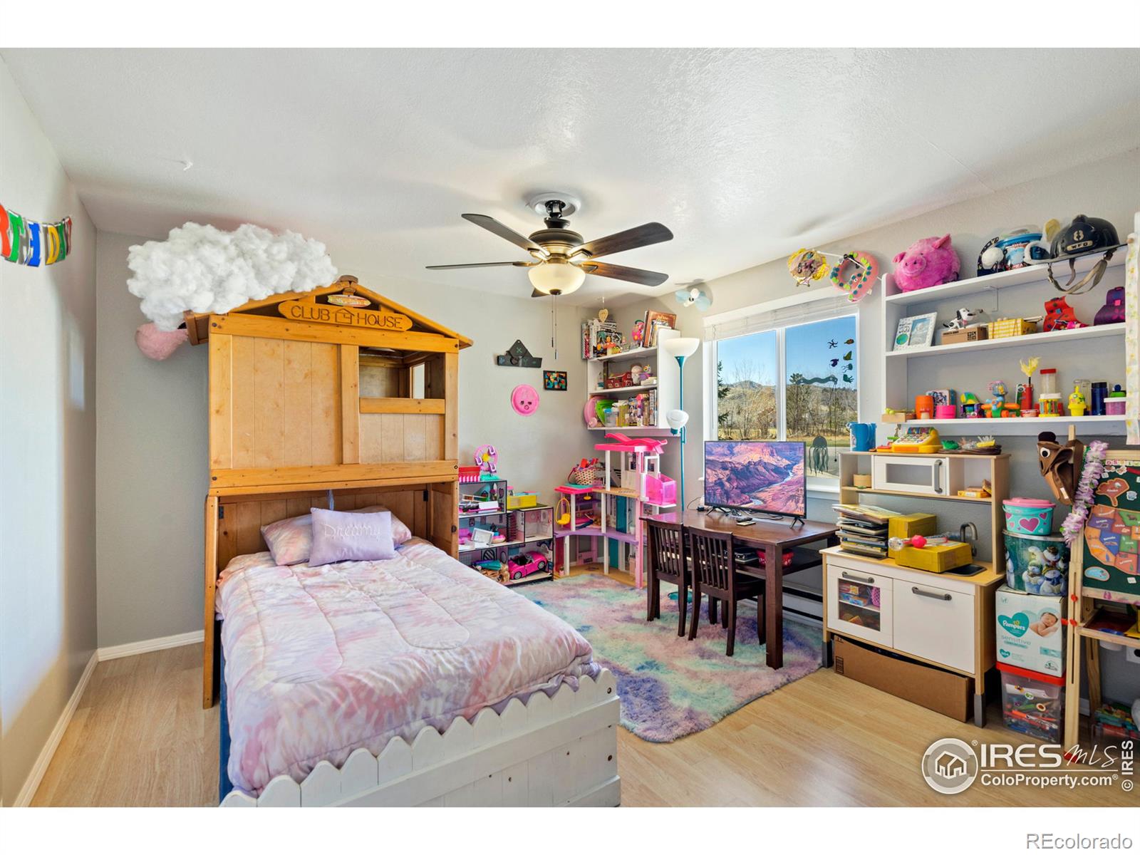 MLS Image #12 for 3049  wells fargo drive,fort collins, Colorado