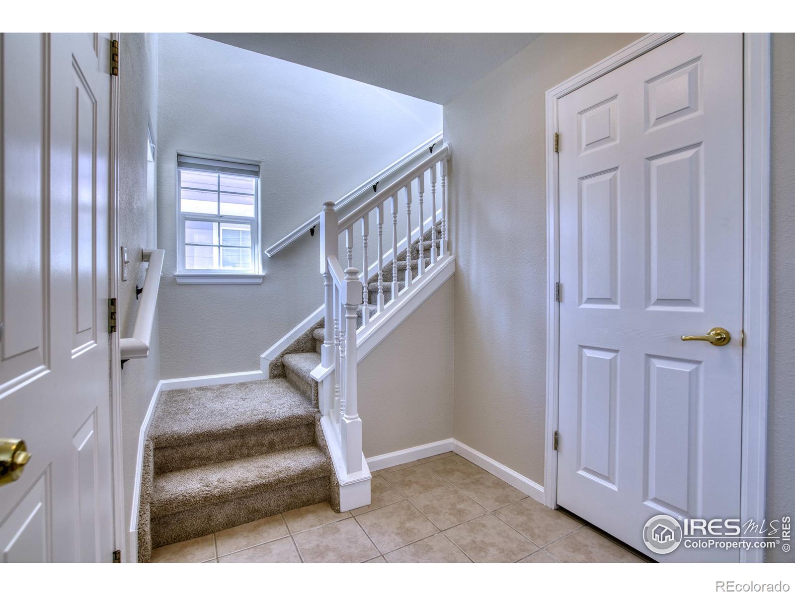 MLS Image #2 for 305  sweet valley court,longmont, Colorado