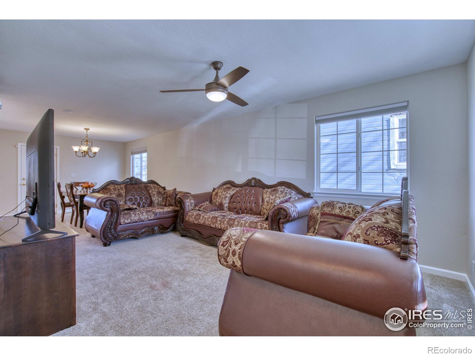 MLS Image #4 for 305  sweet valley court,longmont, Colorado