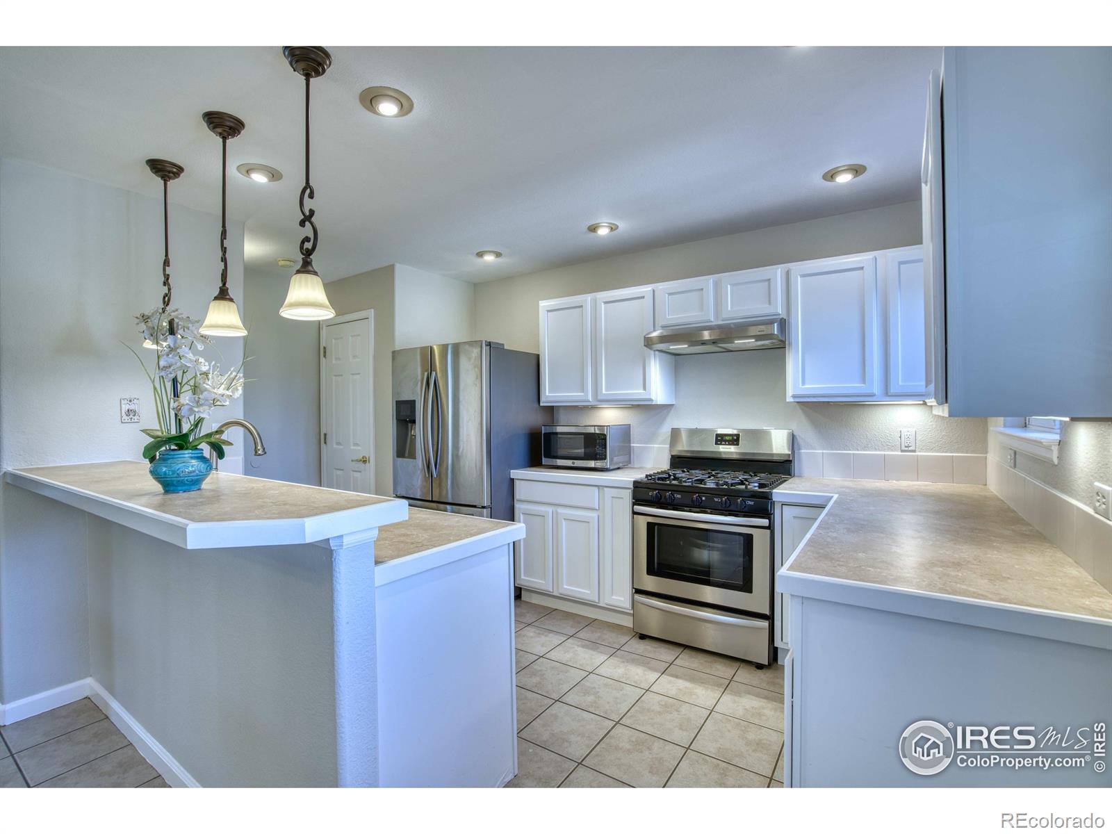 MLS Image #6 for 305  sweet valley court,longmont, Colorado